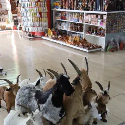 Mercado Central - Fortaleza