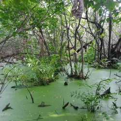 Parque do Cocó - Fortaleza