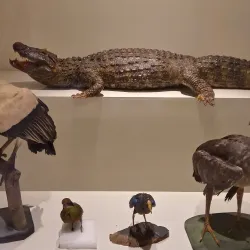 Ecomuseum of Itaipu - Foz do Iguaçu