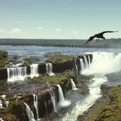 Iguaçu River - Foz do Iguaçu