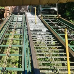 Macuco Safari - Foz do Iguaçu