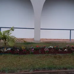 Catedral São José - Francisco Beltrão