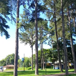 Museu Histórico de Francisco Beltrão - Francisco Beltrão