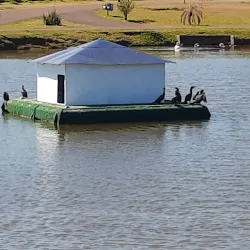 Parque do Lago - Francisco Beltrão