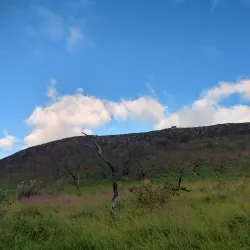 Parque Natural Municipal do Morro do Saboó - Francisco Morato
