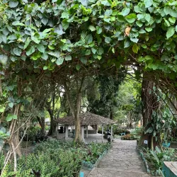 Parque Ruber Van Der Linden - Garanhuns