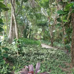 Parque Ruber Van Der Linden - Garanhuns