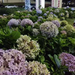 Relógio de Flores - Garanhuns