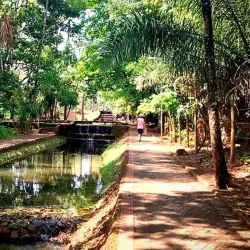 Bosque dos Buritis - Goiania