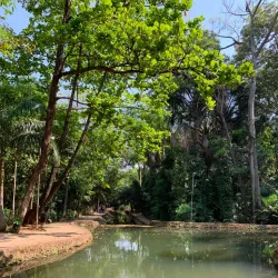 Bosque dos Buritis - Goiania