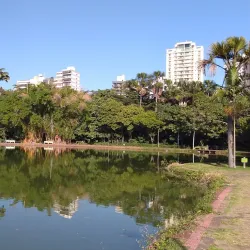 Bosque dos Buritis - Goiania