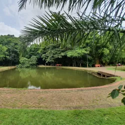 Bosque dos Buritis - Goiania