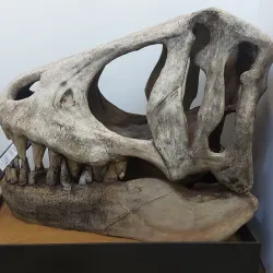 Memorial do Cerrado - Goiania