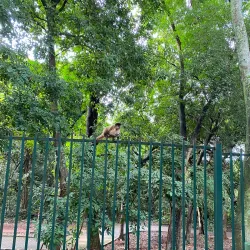 Parque Areião - Goiania