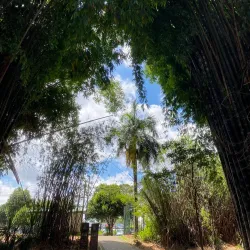 Parque Areião - Goiania