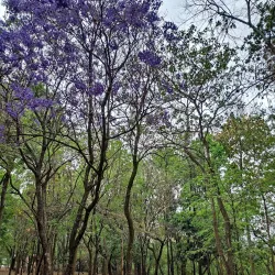 Parque Areião - Goiania