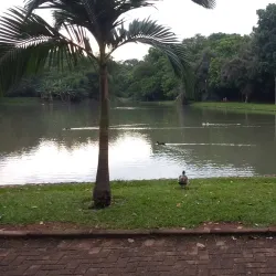 Parque Areião - Goiania