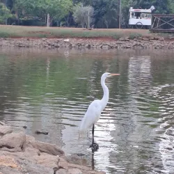 Parque Flamboyant - Goiania