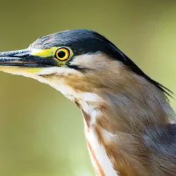 Parque Vaca Brava - Goiania