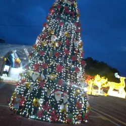 Praça Cívica - Goiania