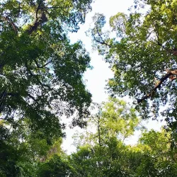Cachoeira do Grajaú - Grajaú