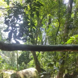 Cachoeira do Grajaú - Grajaú