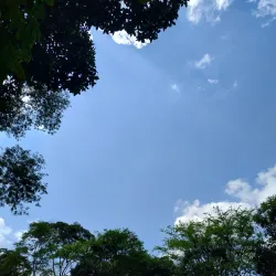 Serra do Grajaú - Grajaú