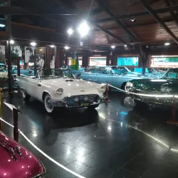 Hollywood Dream Cars - Gramado