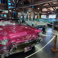 Hollywood Dream Cars - Gramado