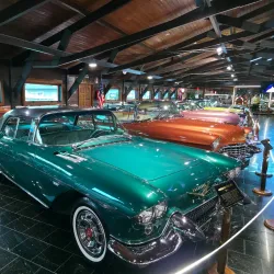 Hollywood Dream Cars - Gramado