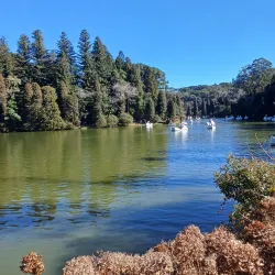 Lago Negro - Gramado