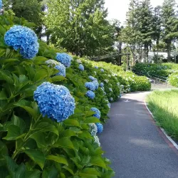 Lago Negro - Gramado