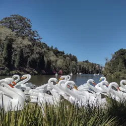 Lago Negro - Gramado