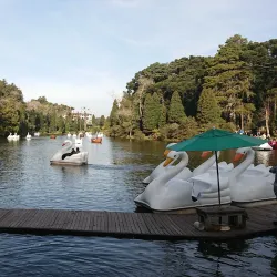 Lago Negro - Gramado