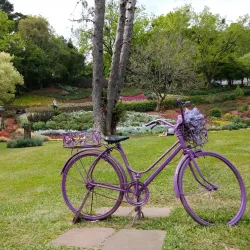 Le Jardin Parque de Lavanda - Gramado