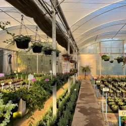 Le Jardin Parque de Lavanda - Gramado