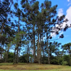 Parque do Caracol - Gramado
