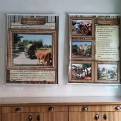 Museu Municipal de Gravataí - Gravataí