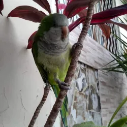 Parque dos Anjos - Gravataí