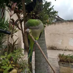 Parque dos Anjos - Gravataí