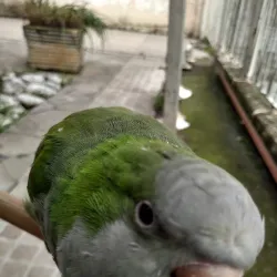 Parque dos Anjos - Gravataí