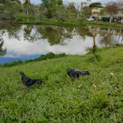 Parque Esportivo - Gravataí