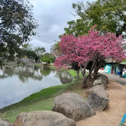 Parque Esportivo - Gravataí