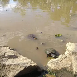 Parque Esportivo - Gravataí