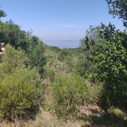 Parque Natural Morro do Osso - Gravataí