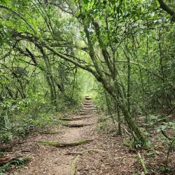 Parque Natural Municipal do Morro do Osso - Gravataí