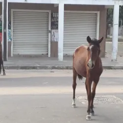 Praia do Sol - Guarapari