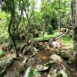Parque Municipal da Pedra Montada - Guararema