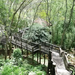 Parque Natural Municipal da Pedra Montada - Guararema