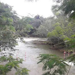 Parque Recanto dos Pássaros - Guararema